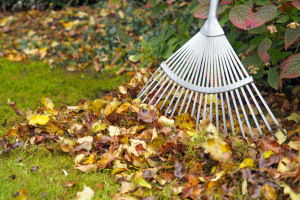 ThinkstockPhotos 524171691 1880x1254