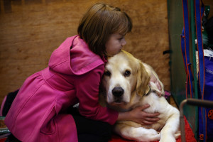 KID DOG