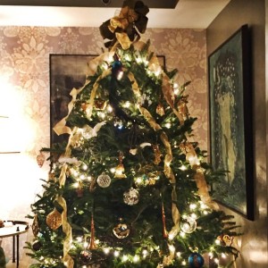 Kalsoom DC Tree Delivery