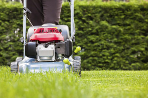 Lawn mower ts