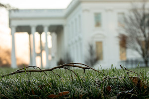 Washington Daily Life