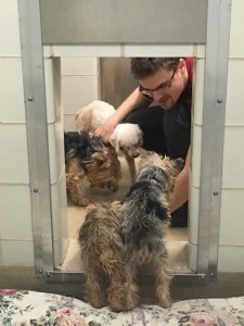 Animal Care Supervisor Spencer Kelly (1)