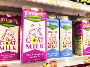 Goat Milk