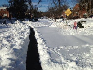 Alexandria path