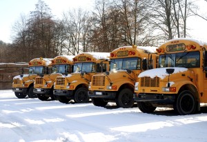 Buses