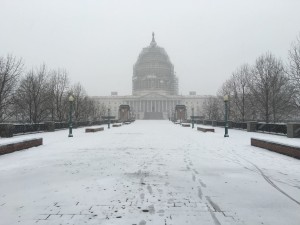 Capitol Jesse Turner