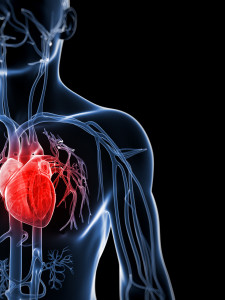 Heart1