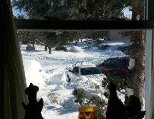 Snowedin patlamb42