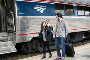 AMTRAKPETS1