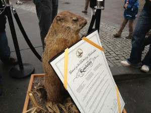 Dead groundhog Potomac Phil predicts early spring, nasty political climate