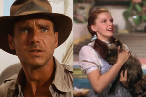 Indy Dorothy