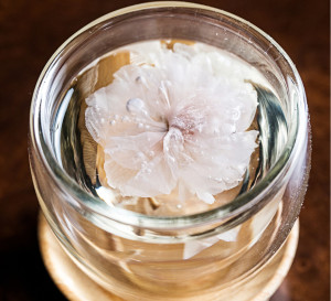 Cherry blossom tea CROPPED