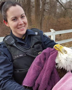 Montgomery county eagle