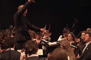 Nso conductor