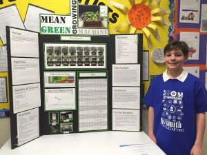 Stem fair