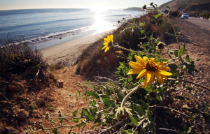 Malibu Beach Access