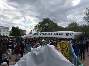 DC pot protest Mega Joint Josh Godaire
