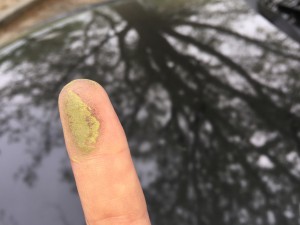 Pollen on car