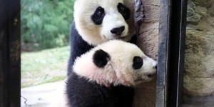 MEI AND BEI