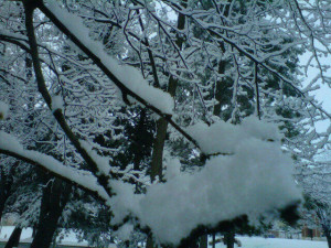 SNOWNICK