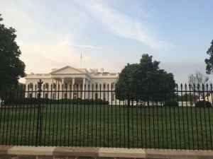 WHITE HOUSE