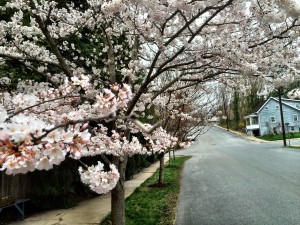 Neighborhood