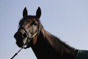 Nyquist