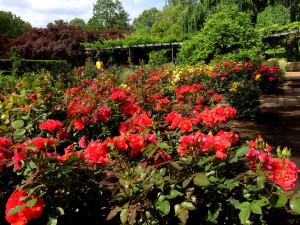 Brookside Gardens