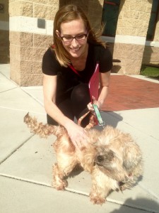 Dandy the dog