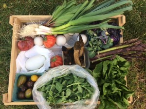 FARMERS MARKET DC