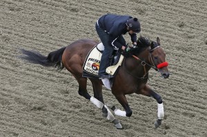 Preakness Stakes Horse Racing
