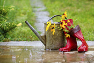 ThinkstockPhotos