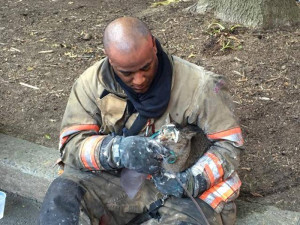 Cat saved
