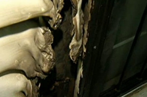 Damage