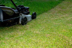 Mower lawn TS