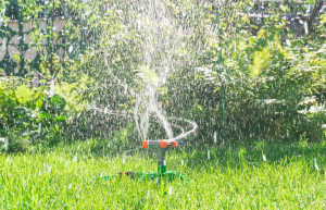 Sprinkler lawn TS