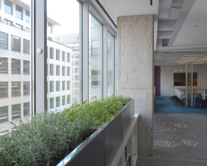 ASID5