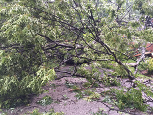 Storm
