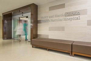 Nancy and Harold Zirkin Heart and Vascular Hospital