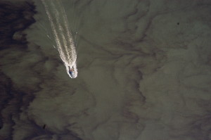 September 2005; Algae Bloom on York River, 9/9/05
