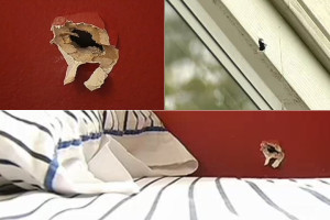 Bullets homes