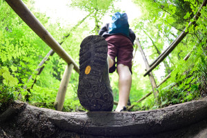 Travel Destination: Bavarian Alps
