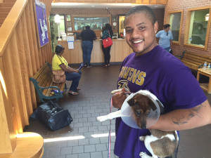 Clear the Shelters pet adoption