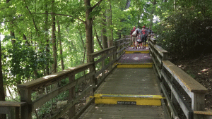 OFF BEATEN PATH