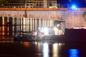 Potomac river crash ddi