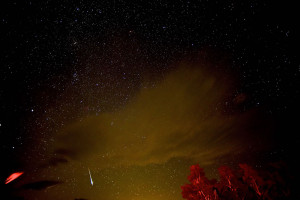 080916 perseids redfern