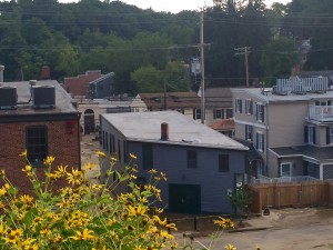 Ellicott city