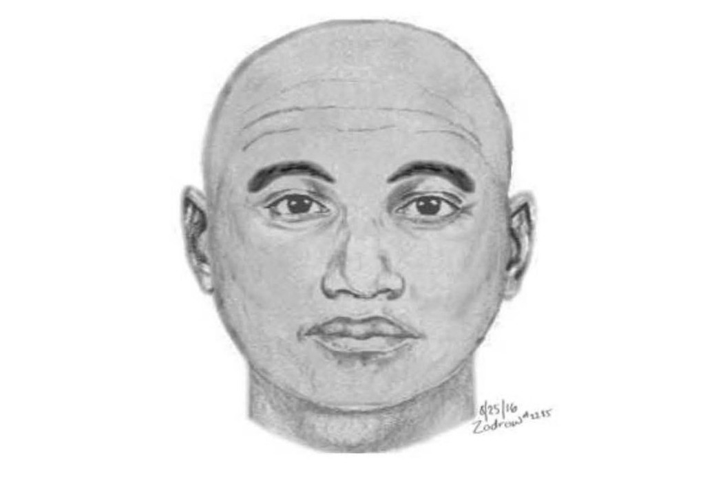 Sketchofjoggerassailant LeesburgPD