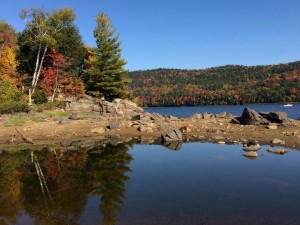 Travel Trip Fall Foliage Guide