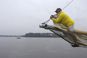 Tropical Weather Hermine